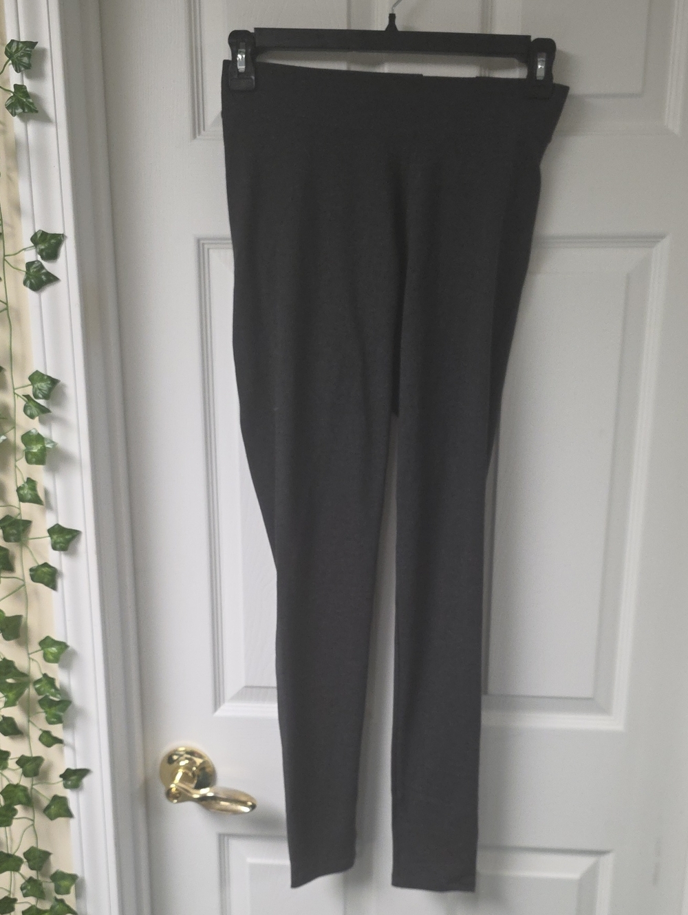 Sonoma Charcoal Gray Ponte Leggings